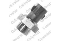 Radiator fan switch