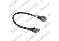Radiator fan switch