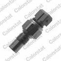 Sensor, koelvloeistoftemperatuur VERNET - WS2619