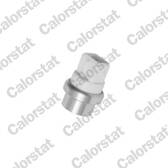 Sensor, kylmedelstemperatur VERNET - WS2603