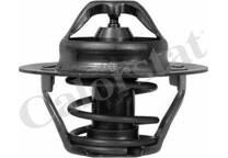 Thermostat, coolant