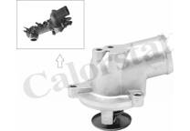 Thermostat, coolant