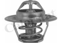 Thermostat, Kühlmittel