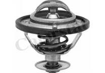 Thermostat, Kühlmittel
