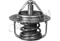 Thermostat, Kühlmittel