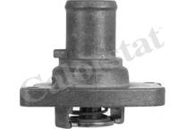 Thermostat, Kühlmittel