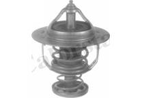 Thermostat, Kühlmittel