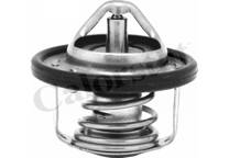 Thermostat, Kühlmittel