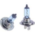 XENON-Kits oder Birnen WRC - 007553